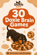 30 Doxie Brain Games